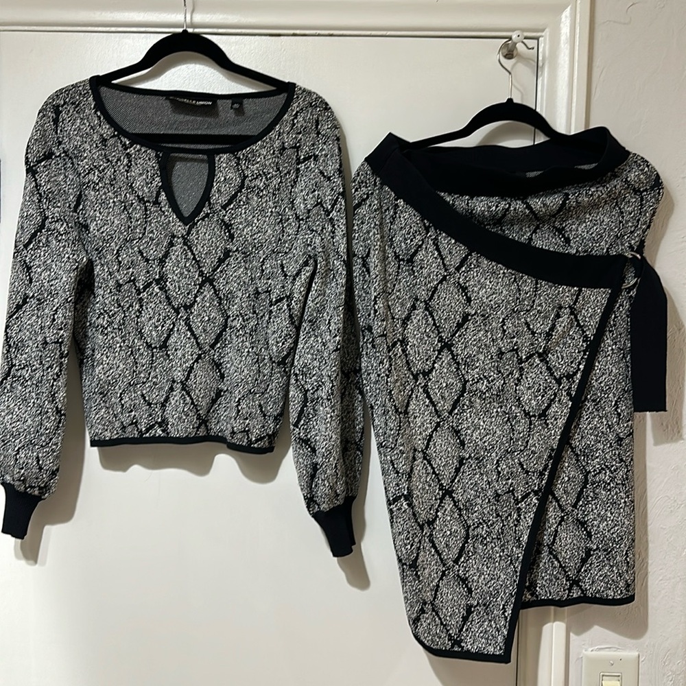 Adorable shirt and skirt